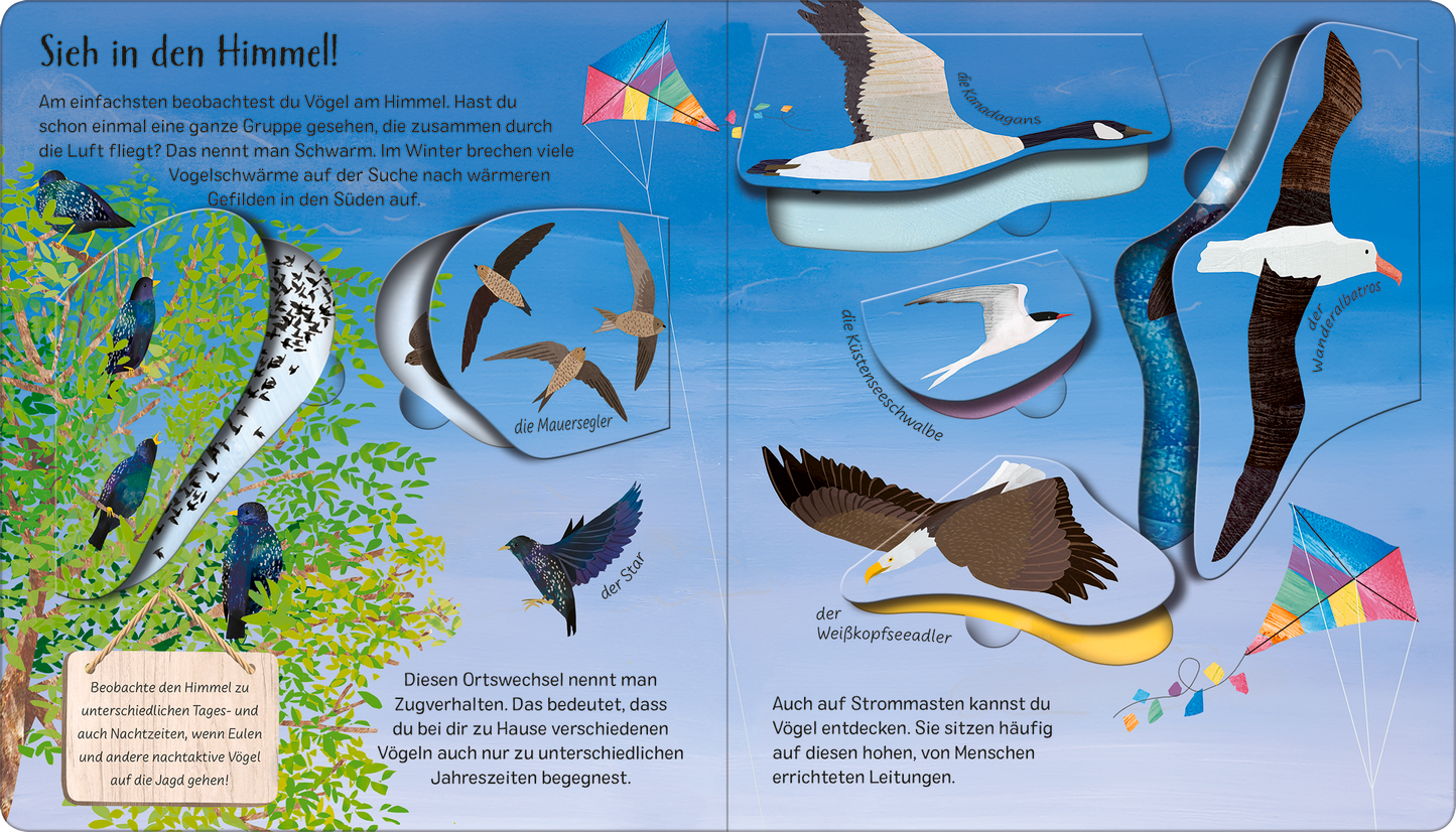 Gezeigt wird eine Innenansicht von „Mit einem Ei fängt alles an“. Auf der Doppelseite ist ein strahlend blauer Himmel zu sehen, in dem verschiedene Vogelarten in lebendigen Farben fliegen. Grün und braun dargestellte Bäume rahmen die Szene ein. Die Typografie ist freundlich und gut lesbar, mit einer Mischung aus größerem und kleinerem Text, der verschiedene Vogelarten und deren Lebensräume beschreibt. Interaktive Elemente laden zum Entdecken ein und sind klar umrissen.