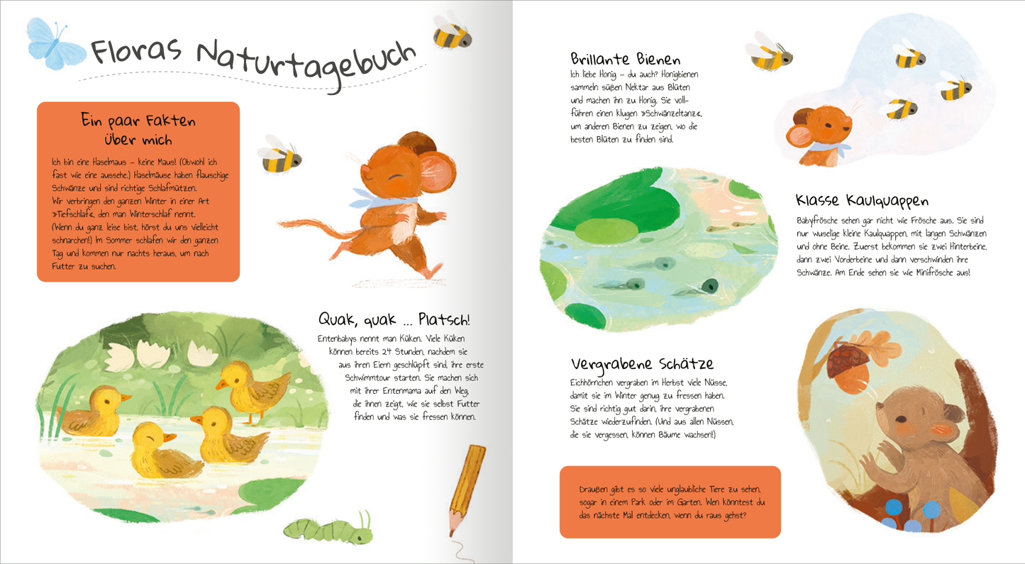 Gezeigt wird eine Innen- oder Zusatzansicht von „Die kleine Haselmaus ist gar nicht müde“. Die Doppelseite präsentiert bunten, kindgerechten Illustrationen, neben denen kurze, informative Texte stehen. Auf der linken Seite sind Enten und eine kleine Maus vor grüner, weicher Landschaft dargestellt. Die rechte Seite zeigt Bienen und verschiedene Naturthemen in sanften Pastellfarben. Die Schrift ist klar und gut lesbar, um die Inhalte zugänglich zu machen.