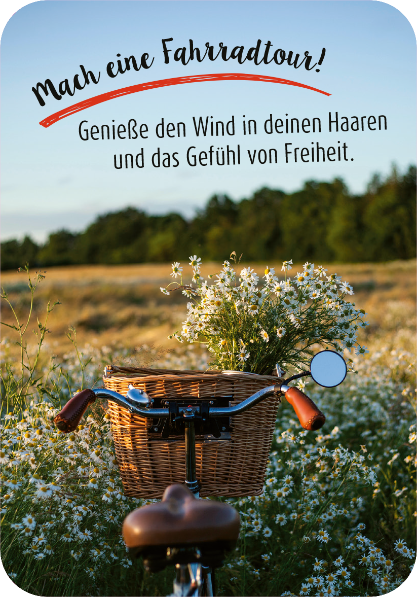 Gezeigt wird eine Innen- oder Zusatzansicht von „99 herrliche Auszeiten für zwischendurch“. Die Szene zeigt einen Fahrradkorb voller Wiesenblumen und einen Teil des Fahrradlenkers im Vordergrund. Der Hintergrund ist ein sonniger, blühender Feld mit grünen Bäumen. In verspielter Schrift steht der einladende Text „Mach eine Fahrradtour!“ in kräftigem Rot, gefolgt von einer motivierenden Botschaft in sanften Grautönen. Die Farben sind warm und einladend, die Gesamtgestaltung wirkt...