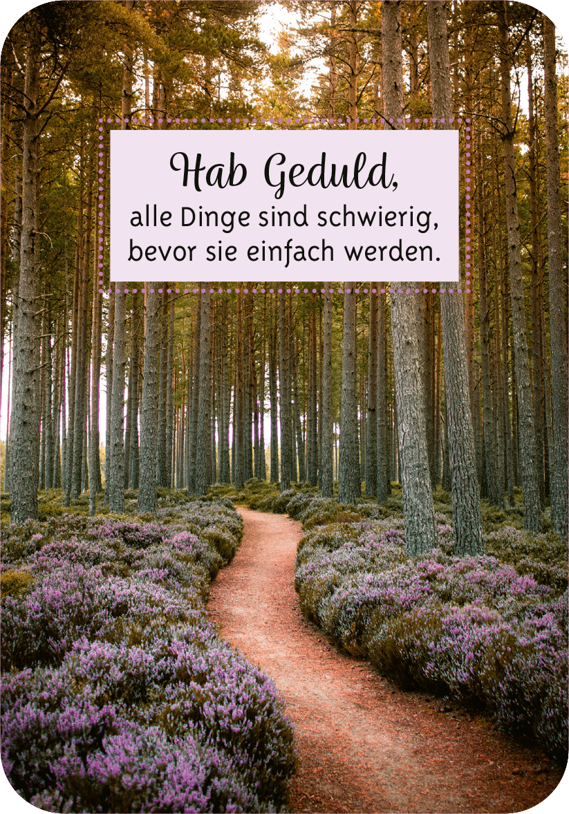 Gezeigt wird eine Innen- oder Zusatzansicht von „Gelassenheit für dich“. Im Vordergrund führt ein gewundener Weg durch ein Waldgebiet, umgeben von lila blühendem Heidekraut. Darüber steht in einem weißen, rechteckigen Kästchen die Aussage: „Hab Geduld, alle Dinge sind schwierig, bevor sie einfach werden.“ Die Schrift ist in einer verspielten, leicht kursiven Typografie gehalten, die die betonte Aussage in sanften, einladenden Farben unterstützt.