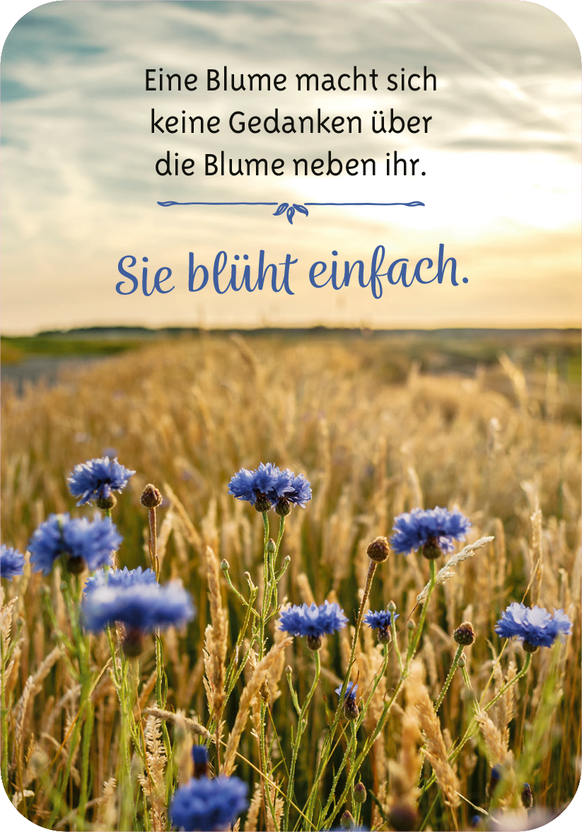 Gezeigt wird eine Innen- oder Zusatzansicht von „Gelassenheit für dich“. Die Ansicht präsentiert eine sanfte, naturbelassene Landschaft mit blühenden, blauen Kornblumen im Vordergrund und goldenen Grashalmen im Hintergrund. Der Himmel ist hell und strahlend, was eine friedliche Atmosphäre schafft. Der Text ist in einer harmonischen Mischung aus Schreibschrift und serifenlosen Buchstaben gestaltet, in dunkelblauer Farbe, und vermittelt eine positive Botschaft über innere Ruhe und...