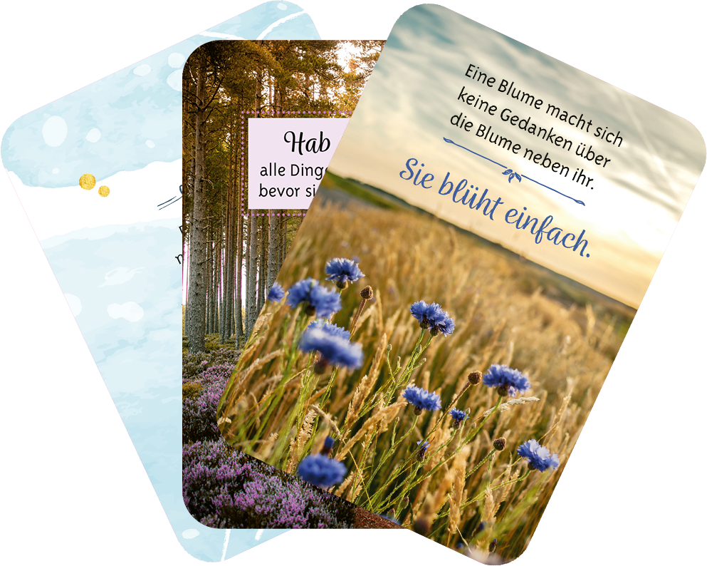 Gezeigt wird eine Innen- oder Zusatzansicht von „Gelassenheit für dich“. Die Ansicht zeigt drei künstlerisch gestaltete Karten. Die vordere Karte zeigt eine Wiese mit blauen Kornblumen und dem Spruch „Sie bleibt einfach.“. Die zweite Karte enthält einen sanften Wasserfarbhintergrund und den Text „Hab alle Dinge lieb, bevor sie gehen.“. Die dritte Karte zeigt einen ruhigen Wald mit warmen Erdtönen. Die Karten verwenden eine harmonische Typografie in Blautönen und sanften Farben.