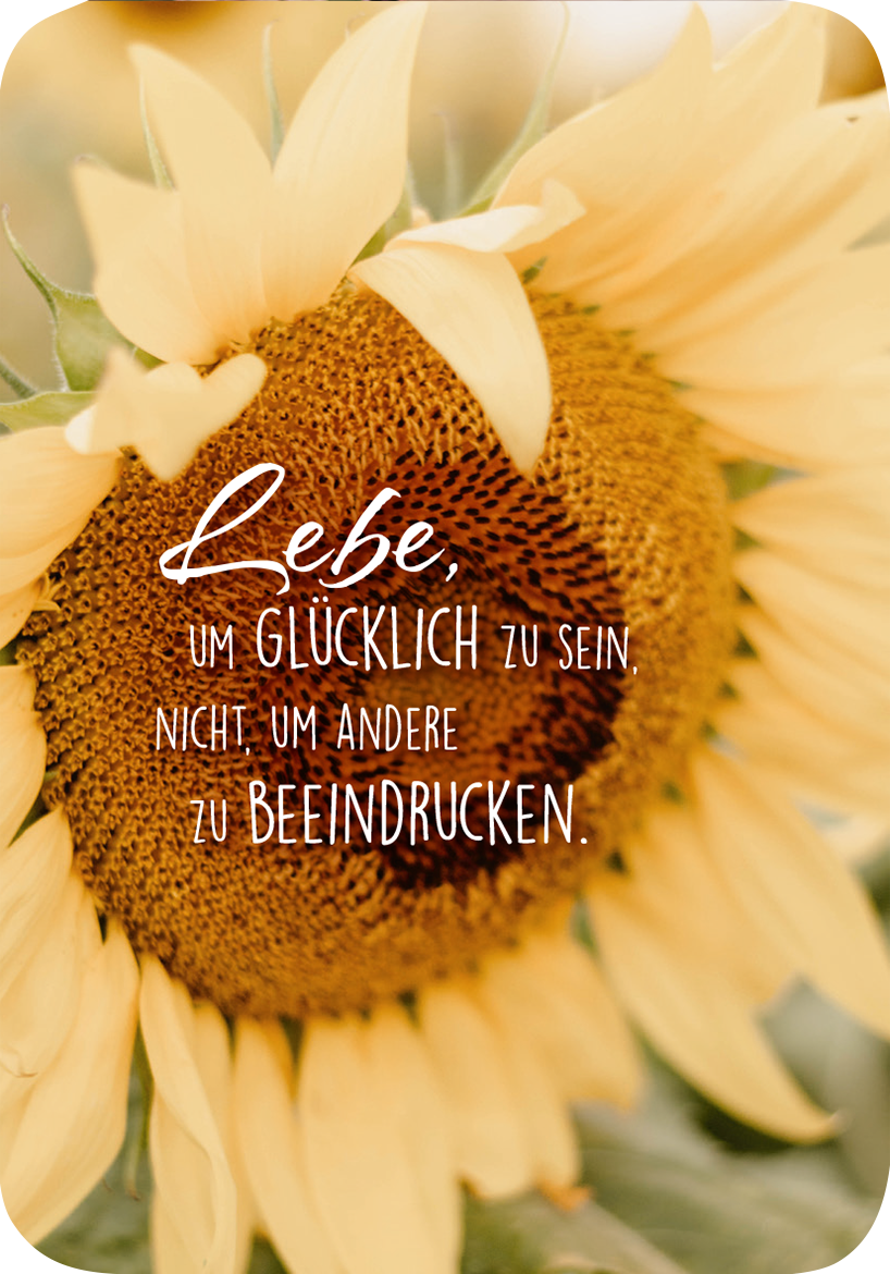 Gezeigt wird eine Innen- oder Zusatzansicht von „Weisheiten für die Seele“. Die Darstellung zeigt eine Nahaufnahme einer Sonnenblume mit leuchtenden gelben Blütenblättern. Im Vordergrund befindet sich ein handgeschriebener Text, der besagt: „Lebe, um glücklich zu sein. Nicht um andere zu beeindrucken.“ Die Schrift kombiniert kreative und klare Typografie, was der Botschaft eine einladende und inspirierende Note verleiht.