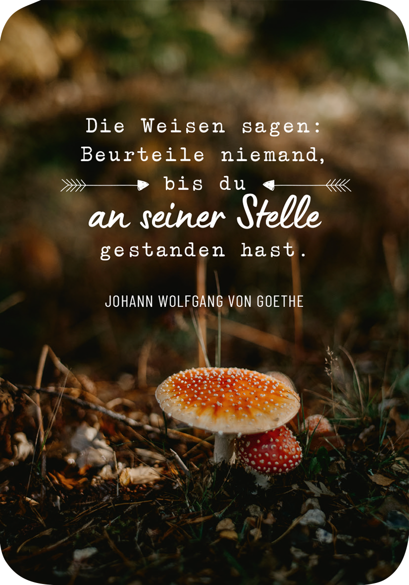 Gezeigt wird eine Innen- oder Zusatzansicht von „Weisheiten für die Seele“. Die Schriftzüge sind in weißer und grauer Typografie gehalten, wobei das Zitat von Goethe hervorgehoben ist. Der Hintergrund zeigt unscharfe, leicht grüne Naturtöne, während ein auffälliger, rot-gelber Fliegenpilz im Vordergrund platziert ist. Die Gesamtkomposition vermittelt eine harmonische Verbindung zur Natur und lädt zum Nachdenken über die Weisheit des Zitats ein.