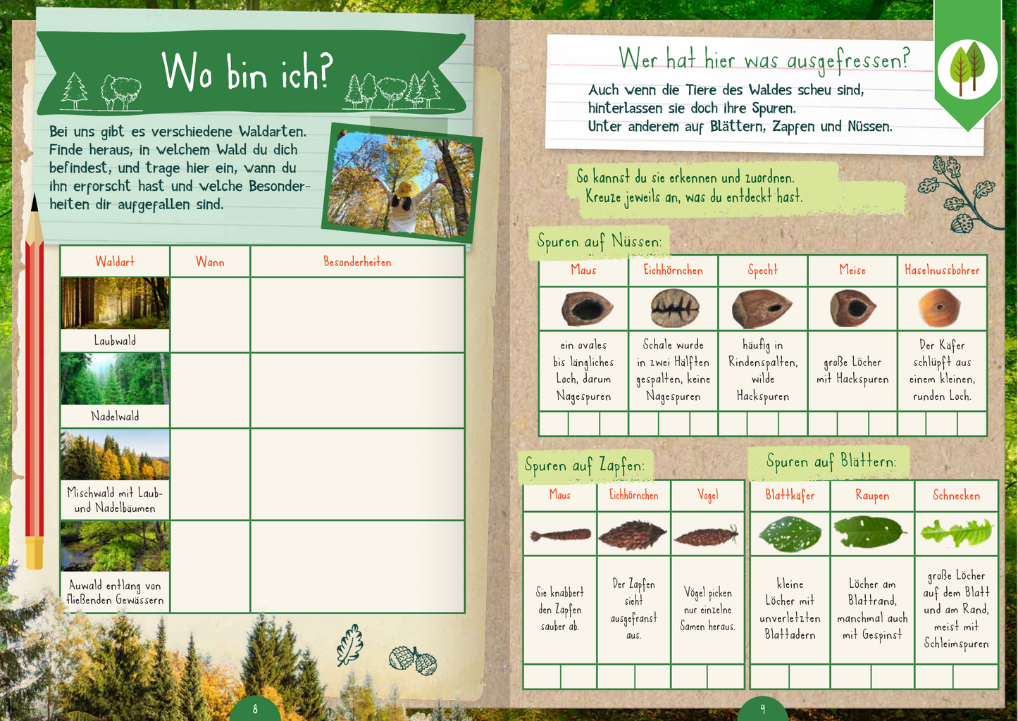 Gezeigt wird eine Innen- oder Zusatzansicht von „Naturforscher-Kids – Mitmach-Buch für unterwegs“. Die Seite ist in sanften Naturtönen gehalten, mit Waldelementen und handschriftlicher Typografie. Links befindet sich ein Kästchen für eine Artbestimmung mit den Überschriften „Waldart“, „Wann“ und „Besonderheiten“. Rechts werden verschiedene Spuren von Nüssen, Zapfen und Blättern dargestellt, ergänzt durch Illustrationen. Am oberen Rand sind dekorative Elemente wie...