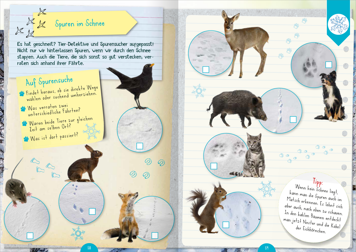 Gezeigt wird eine Innen- oder Zusatzansicht von „Naturforscher-Kids – Mitmach-Buch für unterwegs“. Die Seite ist in sanften Pastellfarben gehalten, mit einem hellblauen Hintergrund und gelben Akzenten. Zentrale Elemente sind die Illustrationen von Tierspuren im Schnee sowie die dazugehörigen Tierbilder, die in runden, blauen Rahmen präsentiert werden. Die Schrift ist groß und gut lesbar, mit klaren Überschriften und informativen Texten, die die jungen Leser zum Mitmachen und Forschen...