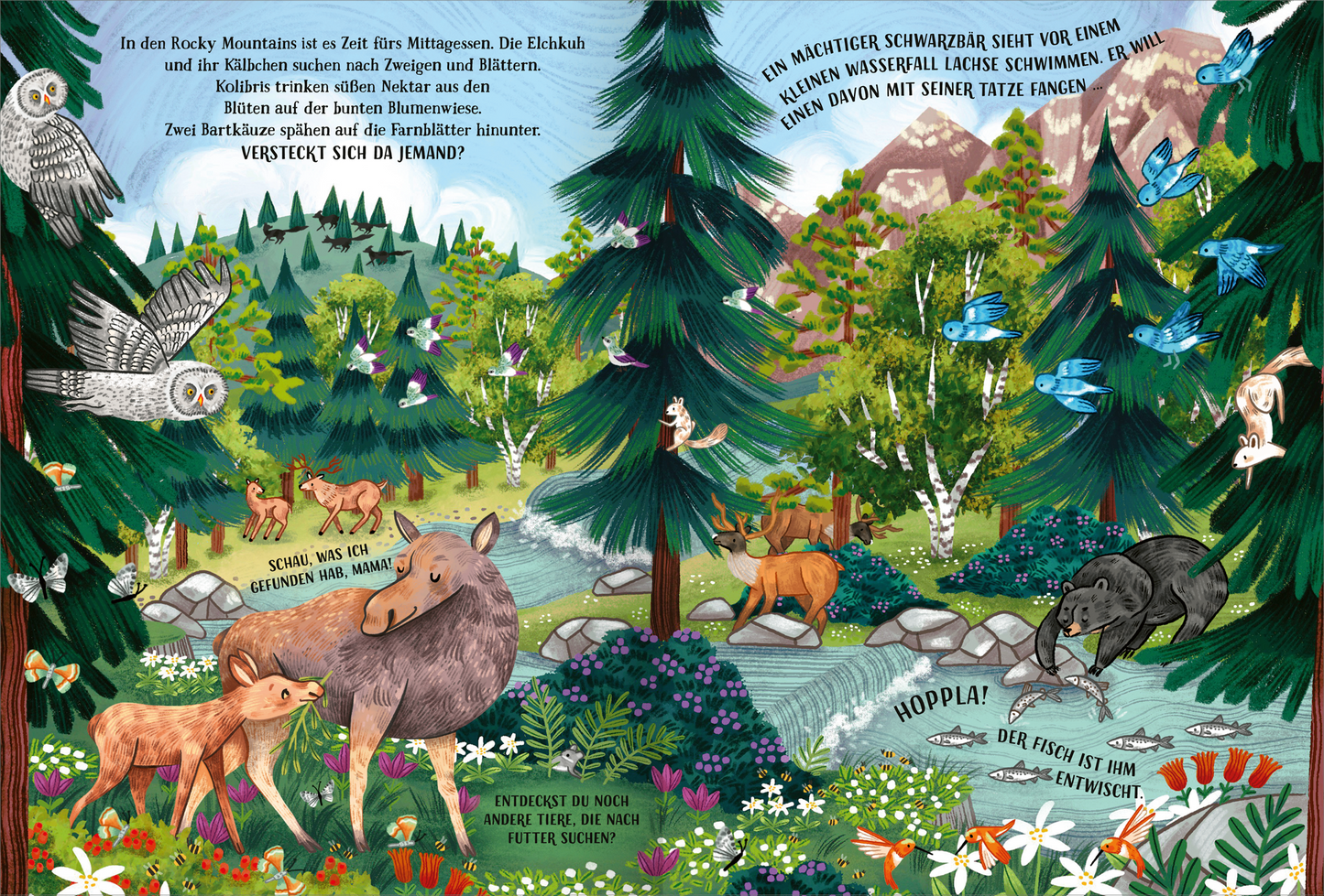 Gezeigt wird eine Innen- oder Zusatzansicht von „Berge voller Wunder“. Die bunte Illustration zeigt eine lebendige Waldszene mit Tieren wie einem Bären, Rehen und Eulen. Farbige Blumen und Pflanzen schmücken den Vordergrund, während im Hintergrund hohe, grüne Tannen und majestätische Berge abgebildet sind. Auf der linken Seite sind Textelemente in einer spielerischen, kindgerechten Schriftart platziert, die zur Entdeckung einladen. Die freundlichen Farben schaffen eine einladende und...