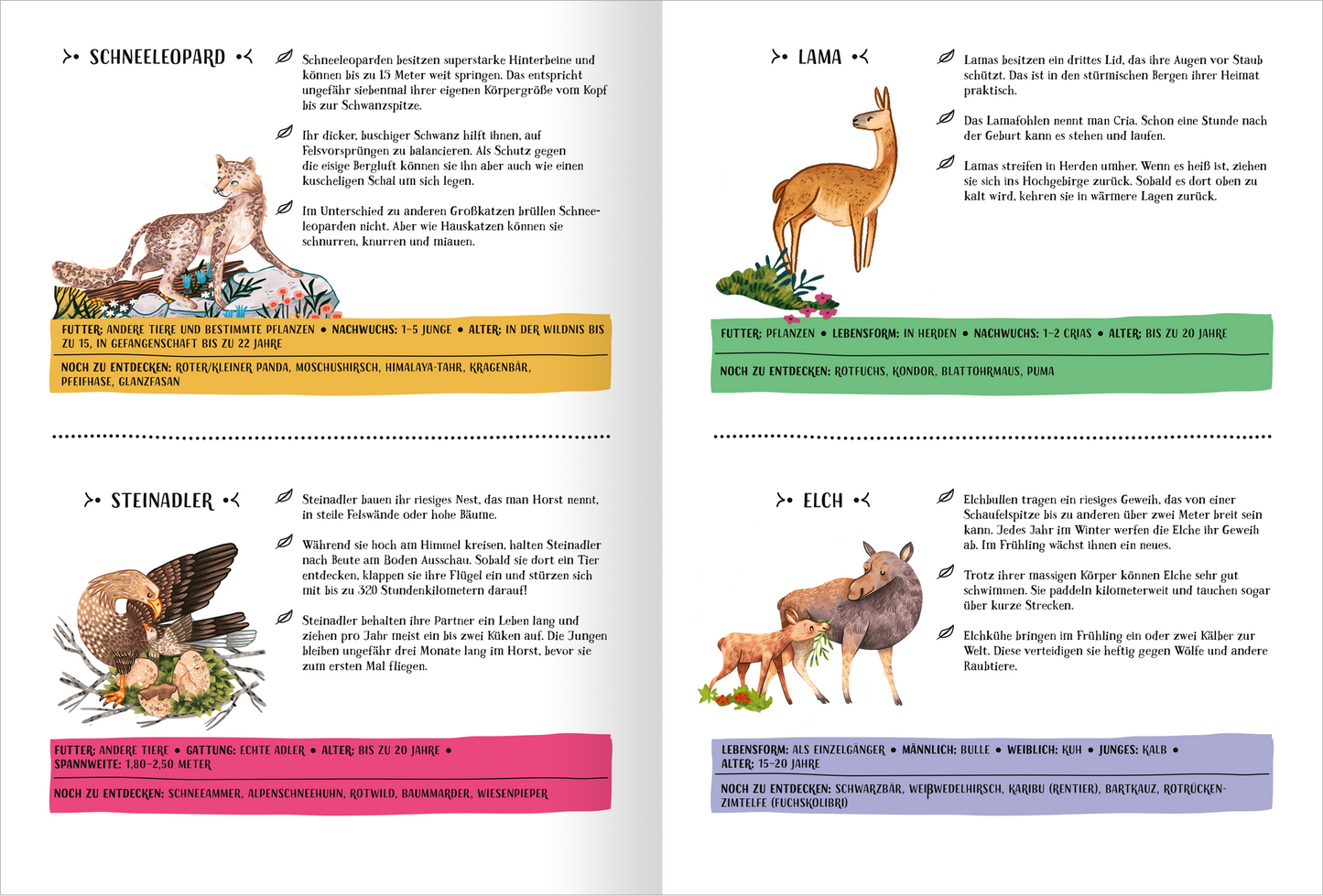 Gezeigt wird eine Innen- oder Zusatzansicht von „Berge voller Wunder“. Die Seite präsentiert farbenfrohe Illustrationen von Tieren wie Schneeleopard, Lama, Steinadler und Elch. Jedes Tier wird von einem informativen Text begleitet, der wichtige Eigenschaften und Lebensräume beschreibt. Die Typografie variiert, mit einem klaren, modernen Schriftstil in unterschiedlichen Farben für die Tiernamen und Details. Die Hintergründe sind harmonisch gestaltet, um die Inhalte hervorzuheben.