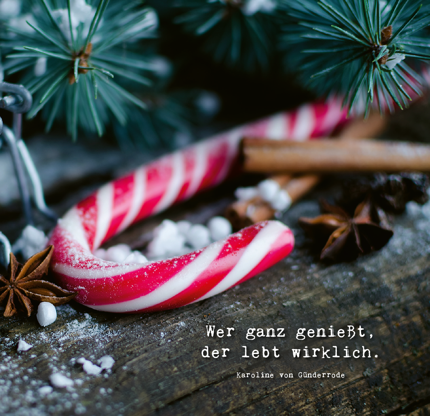 Gezeigt wird eine Innen- oder Zusatzansicht von „Winterzeit ist Wunderzeit“. Die Ansicht zeigt einen rustikalen Holztisch, geschmückt mit einem rot-weiß gestreiften Zuckerstangen, Zimtstangen und Sternanis. Kleine Mengen von Zucker wirken wie Schnee und sorgen für einen winterlichen Flair. Im Hintergrund sind grüne Tannenzweige sichtbar. Der Text in einer modernen, klaren Schriftart lautet: „Wer ganz genießt, der lebt wirklich.“ mit dem Namen „Karoline von Günderrode“ darunter.