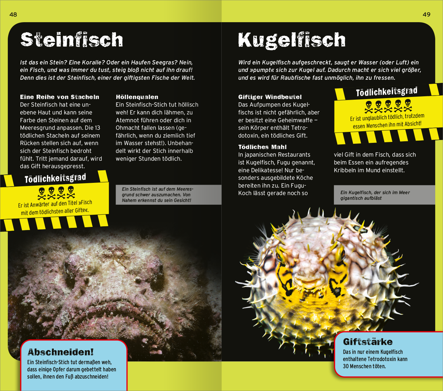 Gezeigt wird eine Innen- oder Zusatzansicht von „Die 100 tödlichsten Dinge der Welt“. Die Seite präsentiert Informationen über den Steinfisch und den Kugelfisch. Der Hintergrund ist dunkelblau, während die Texte in weiß und gelb hervorgehoben sind. Grafische Elemente wie Warnsymbole und Illustrationen der Fische ergänzen die Texte. Die Schrift ist gut lesbar, mit klaren Überschriften in größerer Schriftgröße, die die wesentlichen Informationen strukturiert und ansprechend...