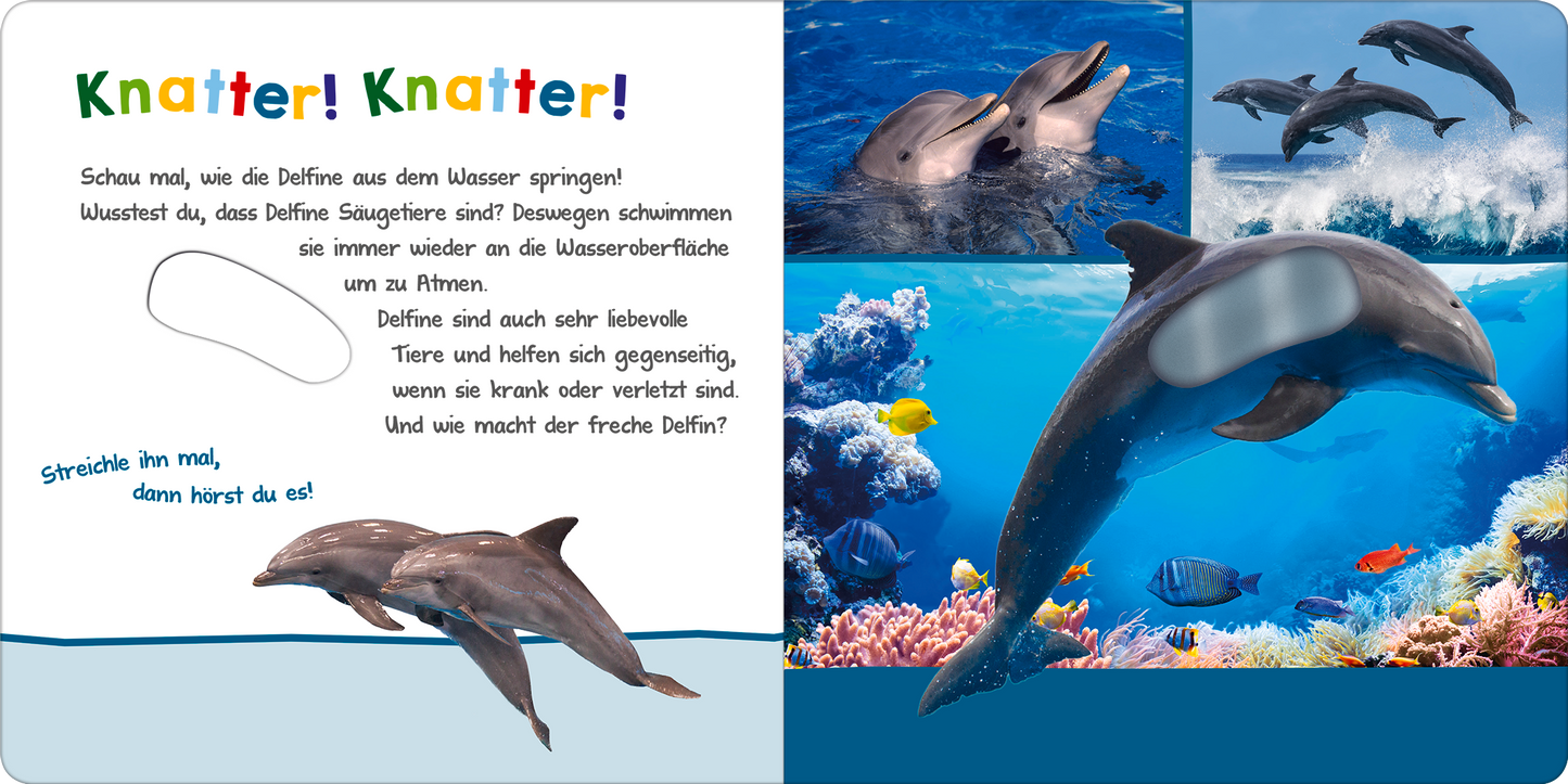 Gezeigt wird eine Innen- oder Zusatzansicht von „Hör mal rein, wer kann das sein? – Im Ozean“. Die Seite enthält helle, ansprechende Farben mit einem vorwiegend blauen Hintergrund, der die Ozeanwelt widerspiegelt. Ein großes Bild eines Delfins ist auf der linken Seite abgebildet, umgeben von bunten Grafiken. Der Text in freundlicher, kindgerechter Typografie schließt Aufforderungen und spannende Informationen über Delfine ein, wobei die Worte „Knatter! Knatter!“ hervorgehoben...