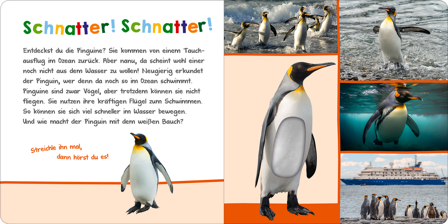 Gezeigt wird eine Innen- oder Zusatzansicht von „Hör mal rein, wer kann das sein? – Im Ozean“. Die Seite enthält lebendige Illustrationen von Pinguinen in verschiedenen Szenen, sowohl in Wasser als auch an Land. Der Titel „Schnatter! Schnatter!“ ist in bunter, verspielter Schriftart angeordnet. Ein abgerundeter Informationsbereich erklärt die Eigenschaften der Pinguine, während eine orangefarbene Leiste den Text umrahmt. Die Atmosphäre ist freundlich und einladend, ideal für...