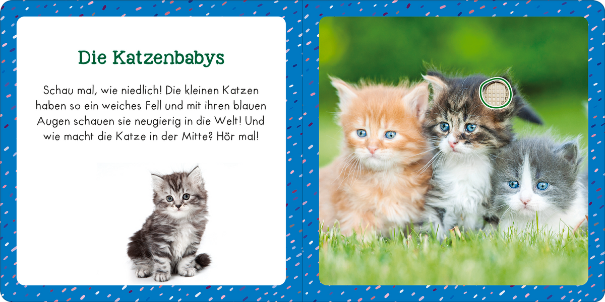 Gezeigt wird eine Innen- oder Zusatzansicht von „Soundbuch für Klitzekleine – Kleine Tiere“. Die Seite ist in fröhlichen Farben gestaltet, mit einem blauen Hintergrund und bunten Punkten. Auf der linken Seite befindet sich ein Textfeld mit der Überschrift „Die Katzenbabys“ in grüner, kindgerechter Schrift. Daneben sind drei niedliche Katzenbabys abgebildet, die in sanften Farben schimmern. Die Katzen wirken verspielt und neugierig, was die Interaktion anregt.