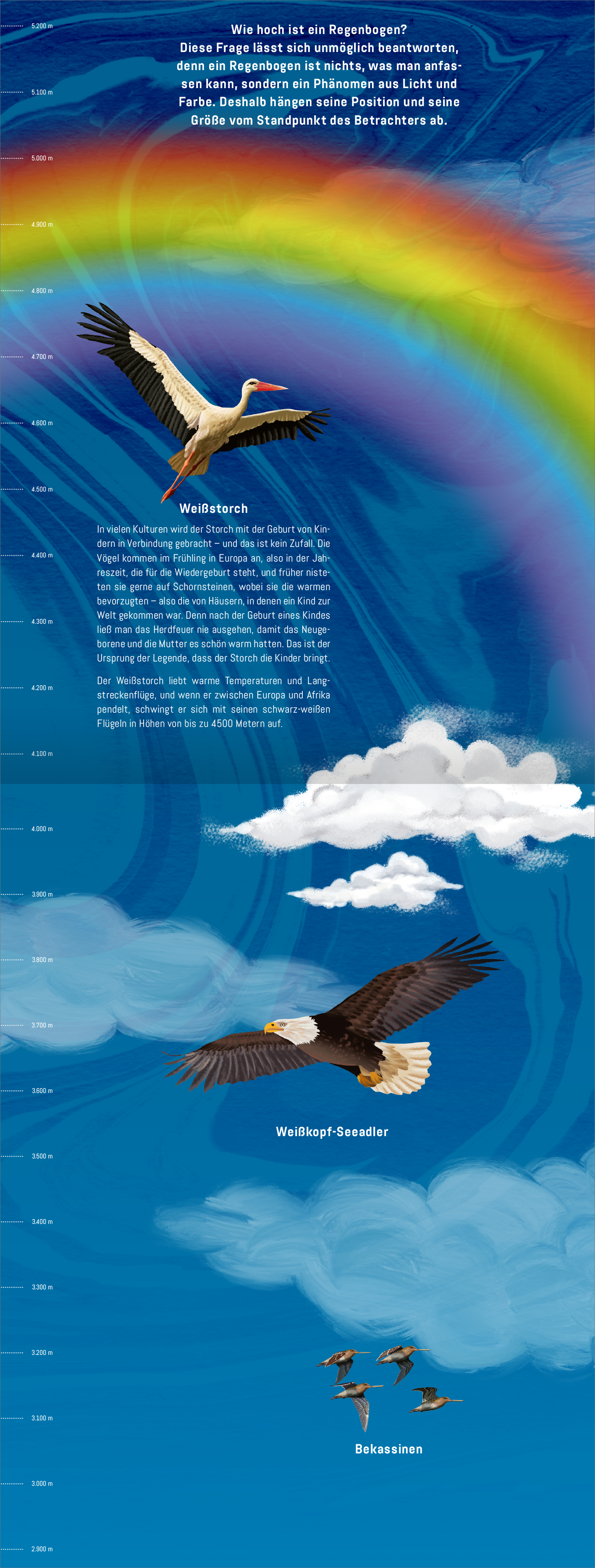 Gezeigt wird eine Innen- oder Zusatzansicht von „Hinauf ins Himmelblau“. Die Illustration umfasst einen strahlend blauen Himmel mit sanften Wolken und einem bunten Regenbogen. Darauf sind verschiedene Vogelarten abgebildet, darunter ein Storchenpaar und eine Gruppe von fliegenden Vögeln. Die darunter stehenden Texte sind in klarer, gut lesbarer Schriftart in Weiß und Schwarz gehalten, um einen hohen Kontrast zu gewährleisten und die Lesbarkeit zu unterstützen.