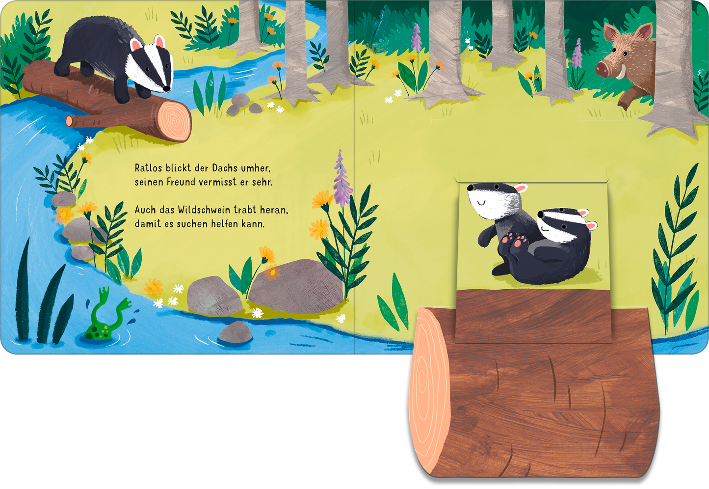Gezeigt wird eine Innen- oder Zusatzansicht von „Klapp auf! Wer versteckt sich im Wald?“. Die bunten Illustrationen zeigen einen Dachs, der auf einem Baumstamm sitzt, umgeben von einer lebhaften Waldlandschaft mit grünen Pflanzen, einem blauen Fluss und einem Wildschwein, das in der Nähe erscheint. Der Hintergrund ist in verschiedenen Grüntönen gehalten, während die Typografie in einer verspielten, gut lesbaren Schriftart gestaltet ist. Im Vordergrund ist eine herausklappbare...
