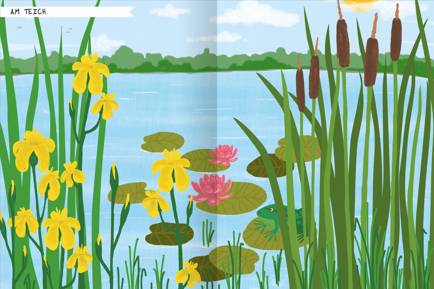 Gezeigt wird eine Innen- oder Zusatzansicht von „Naturforscher-Kids – Stickerheft Insekten“. Die Illustration zeigt eine lebendige Teichlandschaft mit gelben Schwertlilien und pinken Seerosen, die auf dem Wasser schwimmen. Im Vordergrund scheinen große grüne Blätter und ein Frosch zwischen den Pflanzen. Der Himmel ist blau mit wenigen Wolken, und in der oberen linken Ecke steht in verspielter Schrift „AM TEICH“. Die Farben sind freundlich und einladend, ideal für Kinder.