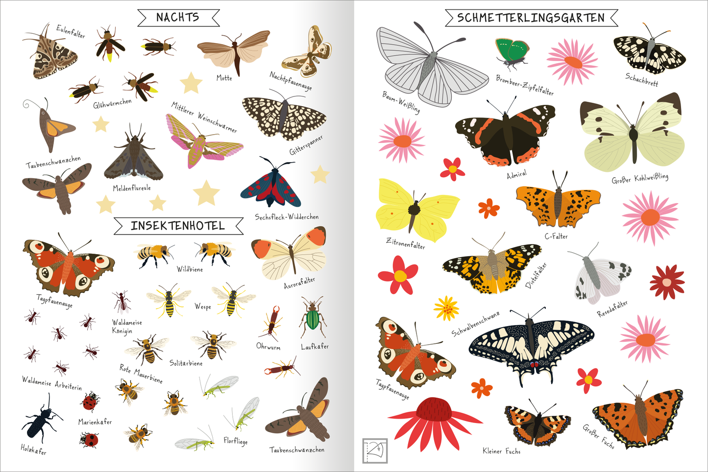 Gezeigt wird eine Innen- oder Zusatzansicht von „Naturforscher-Kids – Stickerheft Insekten“. Die Doppelseite ist in hellen, freundlichen Farben gestaltet und zeigt eine Vielzahl von Insektenzeichnungen. Links sind Nachtschmetterlinge und Käfer angeordnet, während die rechte Seite einen bunten Schmetterlingsgarten darstellt. Zu jedem Insekt sind die Namen in eine verspielte Schriftart geschrieben. Auf verschiedenen Blumen sind die Schmetterlinge platziert, ergänzt durch eine...