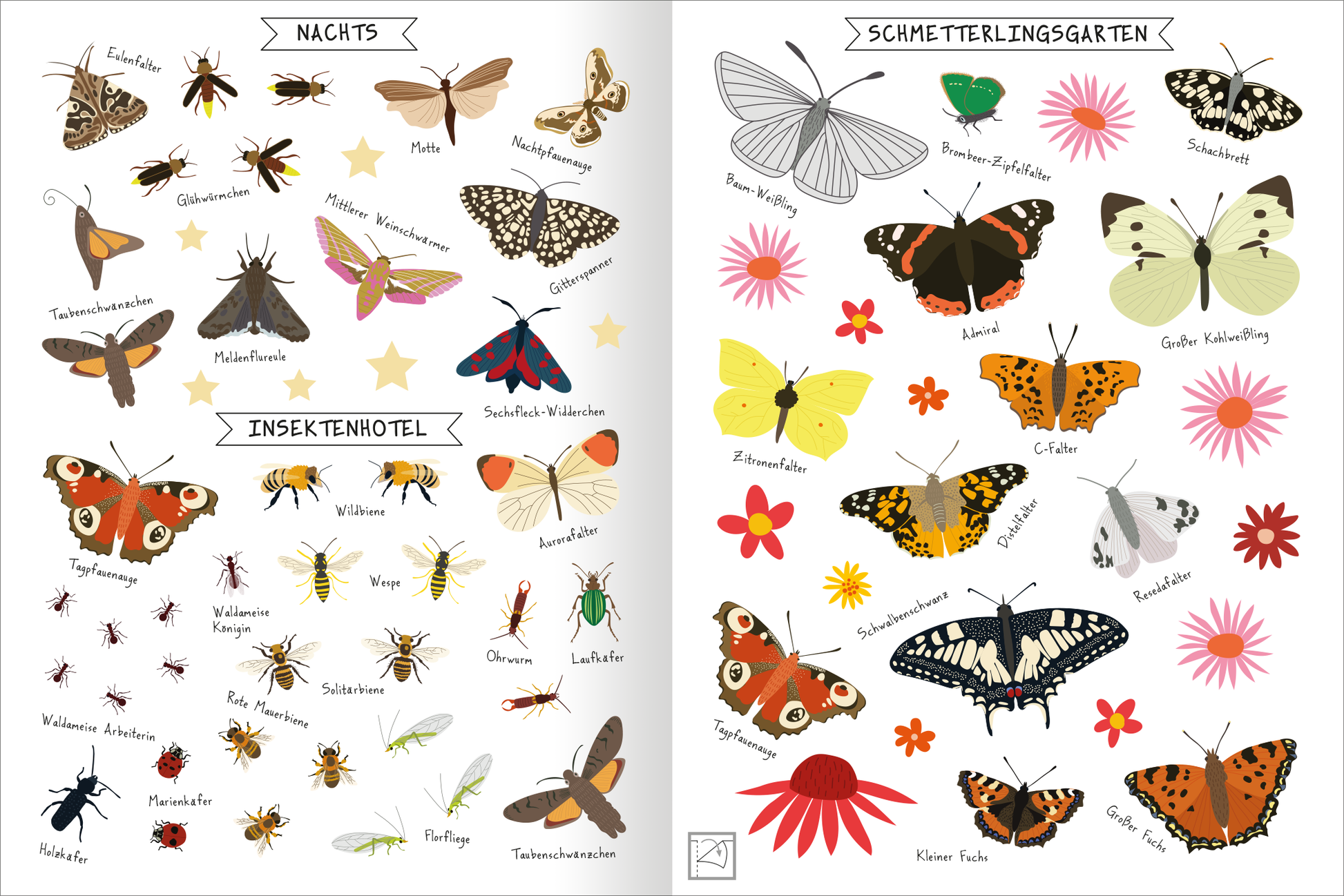 Gezeigt wird eine Innen- oder Zusatzansicht von „Naturforscher-Kids – Stickerheft Insekten“. Die Doppelseite ist in hellen, freundlichen Farben gestaltet und zeigt eine Vielzahl von Insektenzeichnungen. Links sind Nachtschmetterlinge und Käfer angeordnet, während die rechte Seite einen bunten Schmetterlingsgarten darstellt. Zu jedem Insekt sind die Namen in eine verspielte Schriftart geschrieben. Auf verschiedenen Blumen sind die Schmetterlinge platziert, ergänzt durch eine...