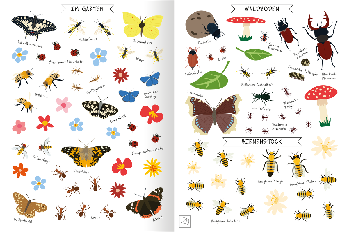 Gezeigt wird eine Innen- oder Zusatzansicht von „Naturforscher-Kids – Stickerheft Insekten“. Die Seite ist in drei Abschnitte unterteilt: „Im Garten“, „Waldboden“ und „Bienenstock“. Bunte Illustrationen zeigen verschiedene Insekten wie Schmetterlinge, Käfer und Bienen, begleitet von passenden Blumen und Pflanzen. Die Verwendung von warmen Farben wie Gelb, Rot und Blau vermittelt eine lebendige Atmosphäre. Die klare, kindgerechte Schrift ist gut lesbar und sorgt für einen...