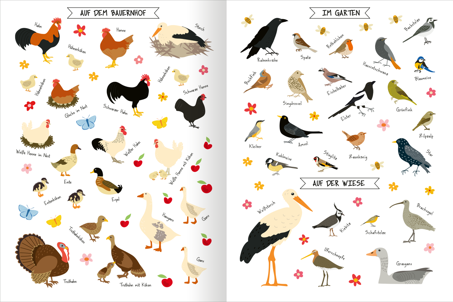 Gezeigt wird eine Innen- oder Zusatzansicht von „Naturforscher-Kids – Stickerheft Vögel“. Die beiden Seiten sind in hellen Farben gehalten und zeigen eine Vielzahl von Vogelillustrationen. Links sind verschiedene Bauernhofvögel, darunter Hühner und ein Truthahn, zu sehen. Rechts befinden sich Garten- und Wiesenvögel mit lebhaften Farben. Jede Illustration ist mit einem handschriftlichen Namen versehen. Blumenmuster und kleine Schmetterlinge ergänzen das fröhliche Design.