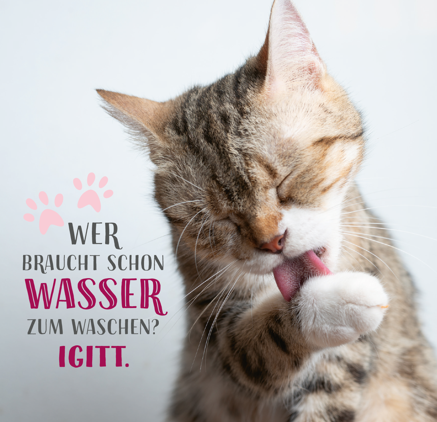 Gezeigt wird eine Innen- oder Zusatzansicht von „Die ganze Wahrheit über deine Katze“. Im Mittelpunkt ist eine süße Katze, die sich mit ihrer Pfote putzt. Der Hintergrund ist hell und neutral, während der textliche Inhalt in humorvoller, moderner Typografie gestaltet ist. Die Aussage „WER braucht schon WASSER zum Waschen? IGITT.“ hebt sich durch kräftige Farben wie Pink und Grau ab und sorgt für eine aufgelockerte, ansprechende Gestaltung.