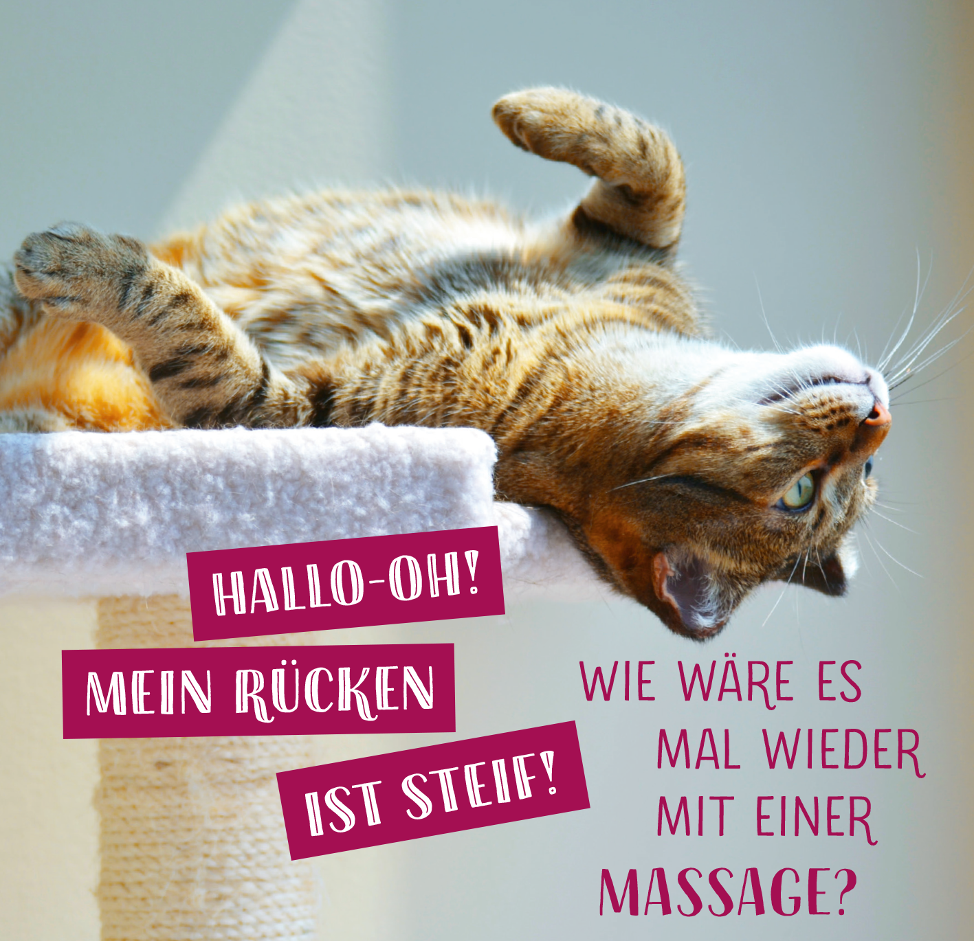 Gezeigt wird eine Innen- oder Zusatzansicht von „Die ganze Wahrheit über deine Katze“. Im Fokus liegt eine entspannte, braun-getigerte Katze, die auf einem Kratzbaum liegt und dabei auf dem Rücken liegt. Die Farbgestaltung umfasst lebendige Rottöne für die Sprechblasen mit den Texten „HALLO-OH! MEIN RÜCKEN IST STEIF!“ und „WIE WÄRE ES MAL WIEDER MIT EINER MASSAGE?“, die in einer verspielten Typografie gehalten sind, was den humorvollen Ton des Inhalts unterstreicht.