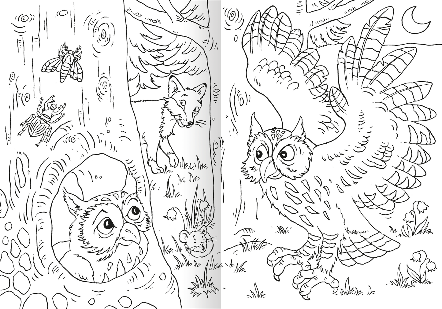 Gezeigt wird eine Innen- oder Zusatzansicht von „Das superdicke Malbuch – Tiere“. Die Illustration zeigt eine Waldszene mit einer Eule im Vordergrund, die auf ihr Nest im Baum zufliegt, und einem Fuchs im Hintergrund. Umgeben von Pflanzen und weiteren Tieren sind die Konturen fein und detailreich gezeichnet. Die Farbgebung ist in Schwarz-Weiß gehalten, ideal für Ausmalen.