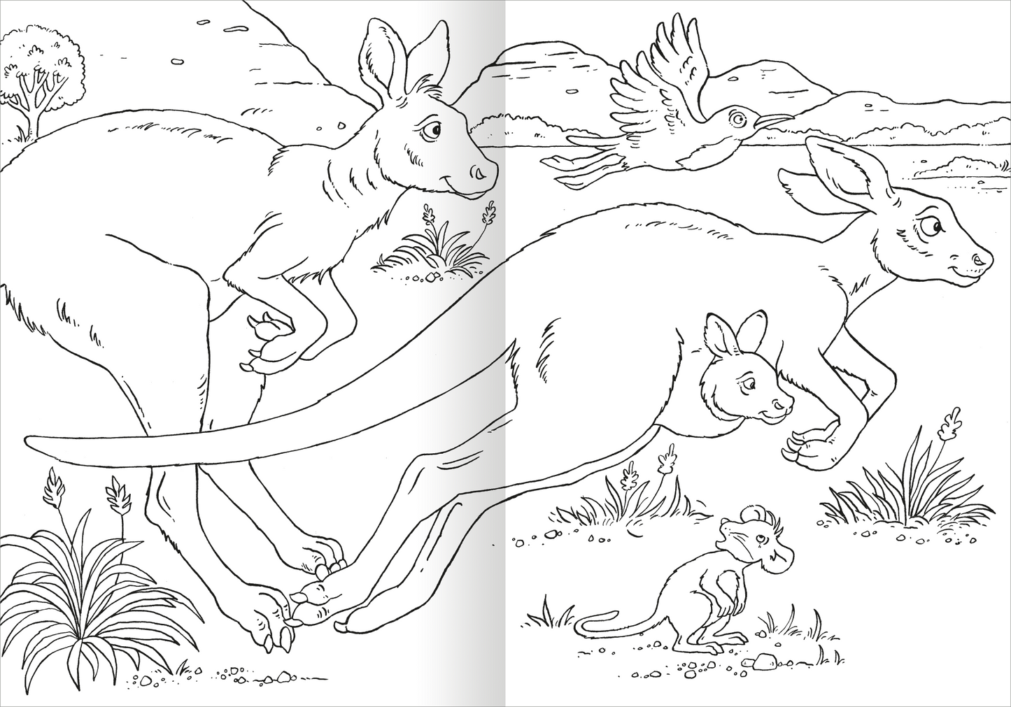 Gezeigt wird eine Innen- oder Zusatzansicht von „Das superdicke Malbuch – Tiere“. Die Abbildung zeigt eine Szene mit zwei hüpfenden Kängurus in einem natürlichen Umfeld, umgeben von Pflanzen, einem Vogel und einer staunenden Maus. Die Strichzeichnungen sind klar und einfach gehalten, wodurch die Tiere und Details gut erkennbar sind. Die Komposition bietet viel Raum zum Ausmalen, mit einem klaren Fokus auf die Tiercharaktere in einer spielerischen, einladenden Atmosphäre.