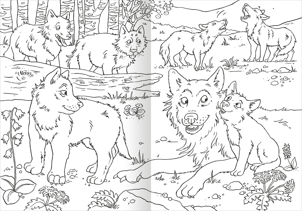 Gezeigt wird eine Innen- oder Zusatzansicht von „Das superdicke Malbuch – Tiere“. Die Seite zeigt mehrere Wolfsskizzen in unterschiedlichen Posen, umgeben von einer natürlichen Kulisse mit Bäumen und Wiese. Die Illustrationen sind in Schwarz-Weiß gehalten und bieten klare, dicke Linien, die das Ausmalen erleichtern.