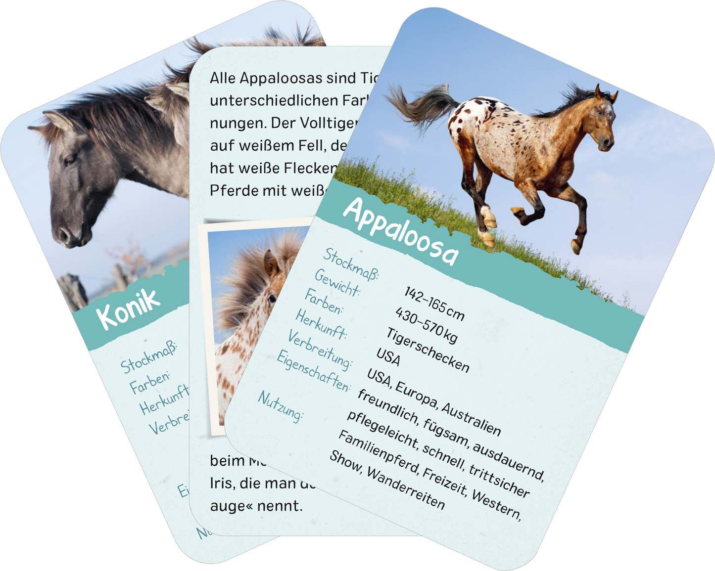 Gezeigt wird eine Innen- oder Zusatzansicht von „Naturforscher-Kids – Pferde und Ponys“. Die Ansicht zeigt mehrere Karten mit Bildern von Pferden, darunter ein Appaloosa und ein Konik. Die Karten sind in hellen Farben gestaltet, wobei die wichtigsten Informationen in einer türkisfarbenen Box hervorgehoben sind. Die Typografie ist klar und gut lesbar, mit Überschriften, die die Rasse und Informationen wie Größe und Gewicht vermitteln. Ein ansprechender Hintergrund zeigt die Tiere in...