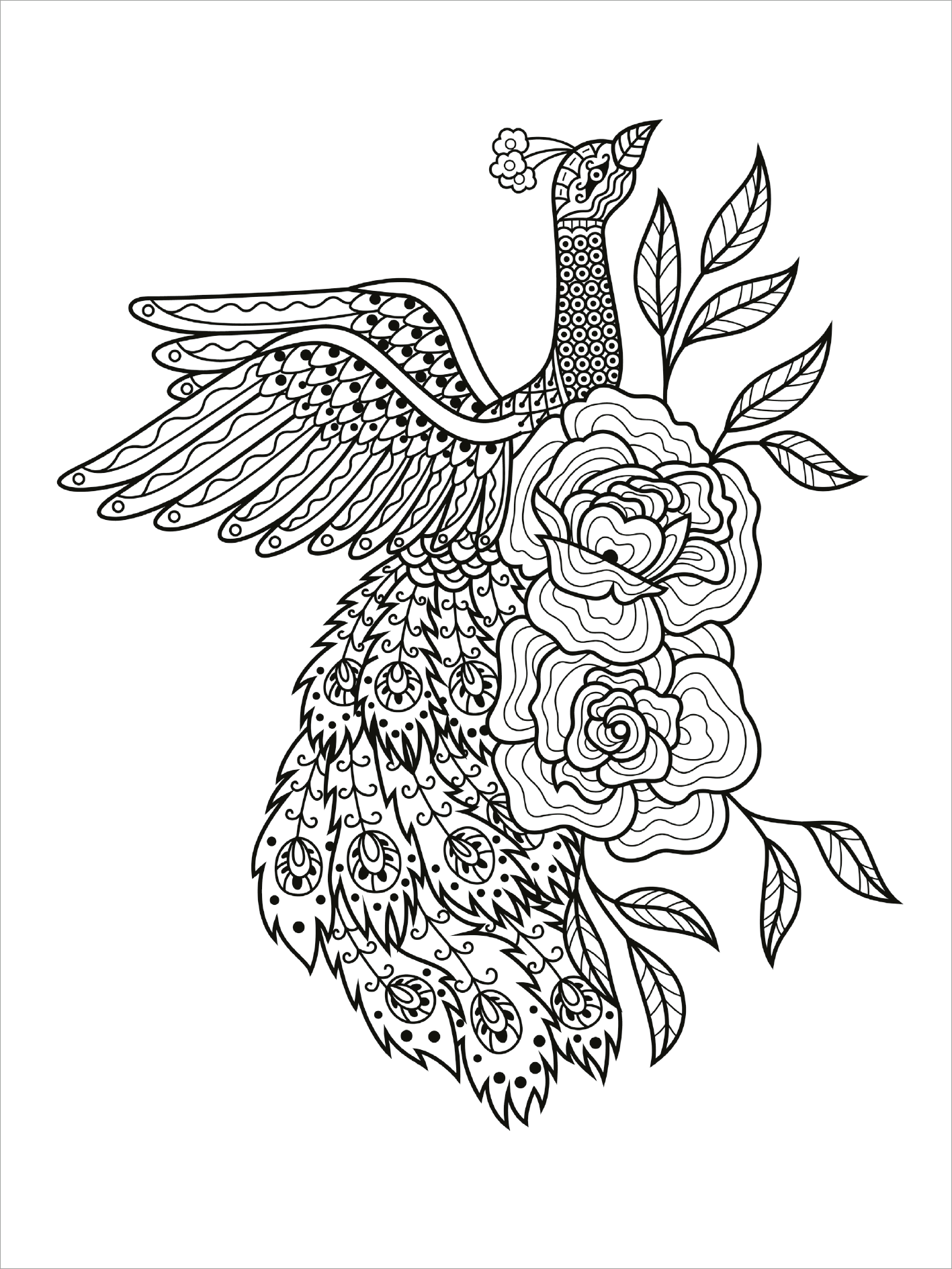 Gezeigt wird eine Innen- oder Zusatzansicht von „Mein Mandala-Tier-Malbuch – Im Paradies der Tiere“. Die Illustration zeigt einen prächtigen Pfau, dessen gefächerter Schwanz mit detaillierten Punkten und Kurven versehen ist. Umgeben wird der Pfau von großen, stilisierten Rosen und geschwungenen Blättern. Die gesamte Darstellung ist in klaren, schwarzen Linien gehalten, die eine harmonische und entspannende Malerfahrung fördern.