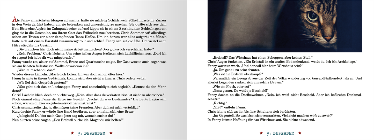 Gezeigt wird eine Innen- oder Zusatzansicht von „Raunachttod“. Die Seite präsentiert einen klaren, gut lesbaren Text in Schwarz auf hellem Hintergrund, der durch Farbakzente in Rot ergänzt wird. Die Schriftart ist modern und ansprechend, während der Text in kurzen Absätzen strukturiert ist. Auf der rechten Seite ist das Bild eines aufmerksam blickenden, grau getigerten Katers zu sehen. Die Darstellung sorgt für einen harmonischen und ansprechenden Gesamteindruck.