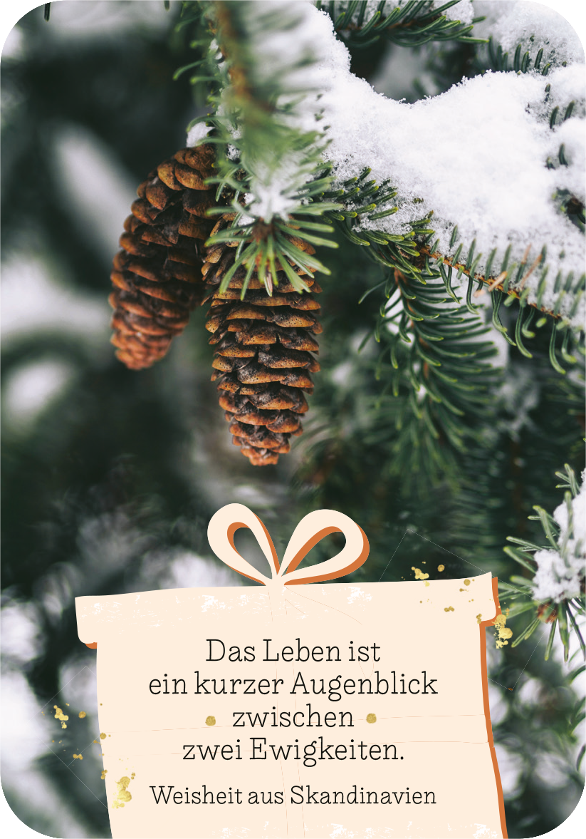 Gezeigt wird eine Innen- oder Zusatzansicht von „Adventszauber für dich“. Die Darstellung zeigt einen Tannenzweig mit einer geschlossenen Tannenzapfen, umgeben von schneebedeckten Ästen. Im Vordergrund ist ein geschnörkeltes, cremefarbenes Banner zu sehen, auf dem in dunkler, eleganter Schrift der Spruch „Das Leben ist ein kurzer Augenblick zwischen zwei Ewigkeiten“ und „Weisheit aus Skandinavien“ platziert ist. Die harmonischen Farben vermitteln eine gemütliche, winterliche...