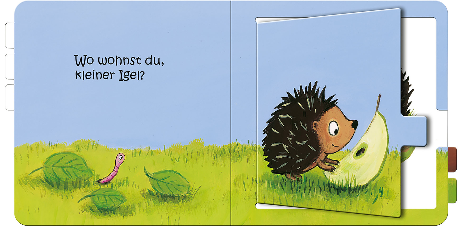 Gezeigt wird eine Innen- oder Zusatzansicht von „Wo wohnst du, kleiner Igel?“. Die Illustration zeigt einen kleinen, braunen Igel, der neugierig eine große, grüne Doppelseite betrachtet. Im Vordergrund befinden sich grüne Blätter und ein rosa Wurm. Der Hintergrund ist in einem freundlichen Himmelblau gehalten. Die Schrift ist in kindgerechter, dicker Typografie in Schwarz, die Frage „Wo wohnst du, kleiner Igel?“ steht links oben. Die Gestaltung ist farbenfroh und ansprechend für...