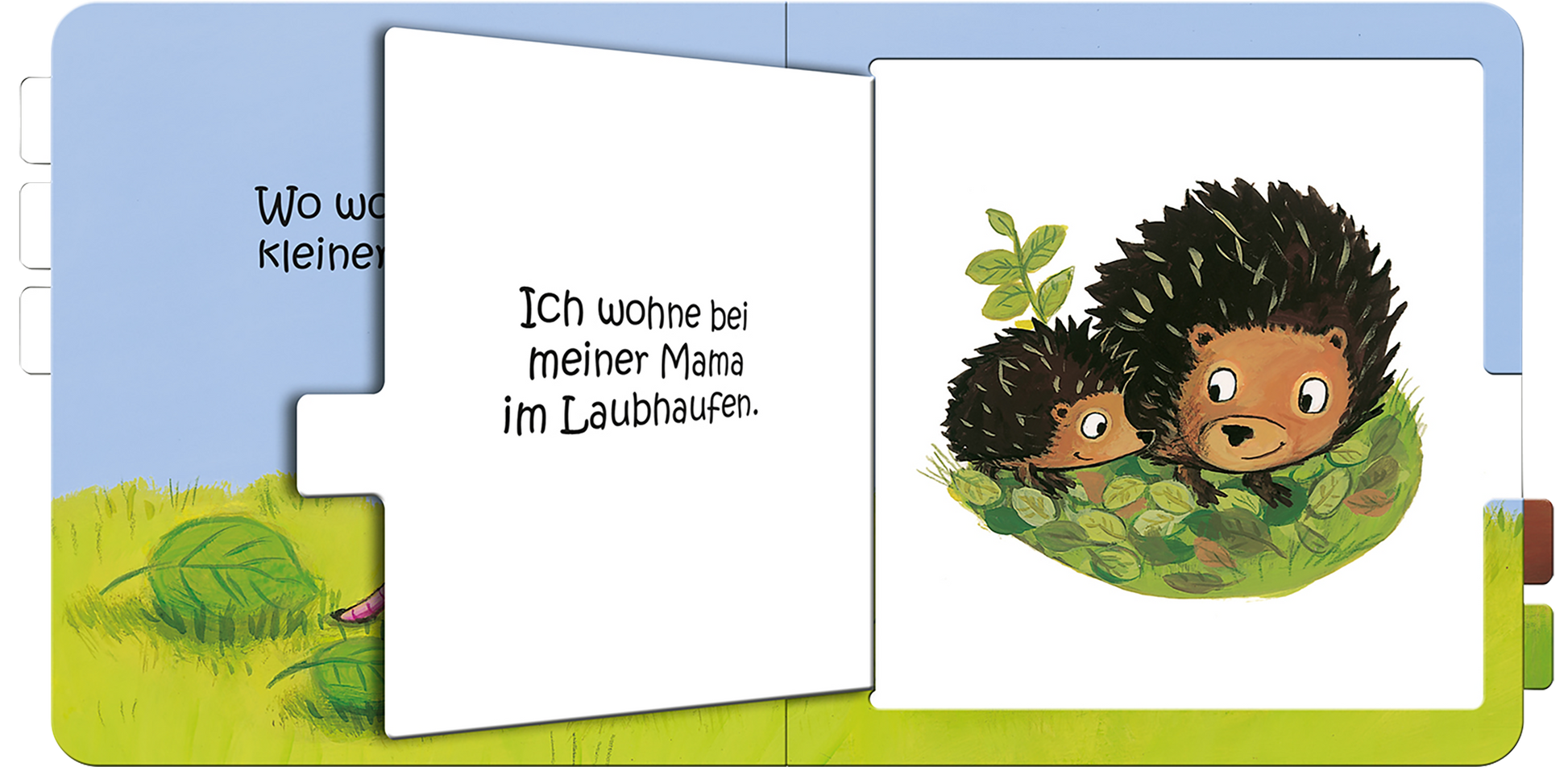 Gezeigt wird eine Innen- oder Zusatzansicht von „Wo wohnst du, kleines Küken?“. Die Seite zeigt zwei niedliche Igel, die im Laubhaufen sitzen. Der Hintergrund ist in sanften Grüntönen gehalten, während die Igel in Brauntönen dargestellt sind und große, freundliche Augen besitzen. Der Text „Ich wohne bei meiner Mama im Laubhaufen.“ ist in einer klaren, handschriftähnlichen Schriftart in Schwarz abgedruckt, was die kindgerechte Ansprache unterstützt.