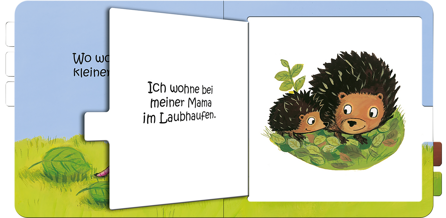 Gezeigt wird eine Innen- oder Zusatzansicht von „Wo wohnst du, kleines Küken?“. Die Seite zeigt zwei niedliche Igel, die im Laubhaufen sitzen. Der Hintergrund ist in sanften Grüntönen gehalten, während die Igel in Brauntönen dargestellt sind und große, freundliche Augen besitzen. Der Text „Ich wohne bei meiner Mama im Laubhaufen.“ ist in einer klaren, handschriftähnlichen Schriftart in Schwarz abgedruckt, was die kindgerechte Ansprache unterstützt.