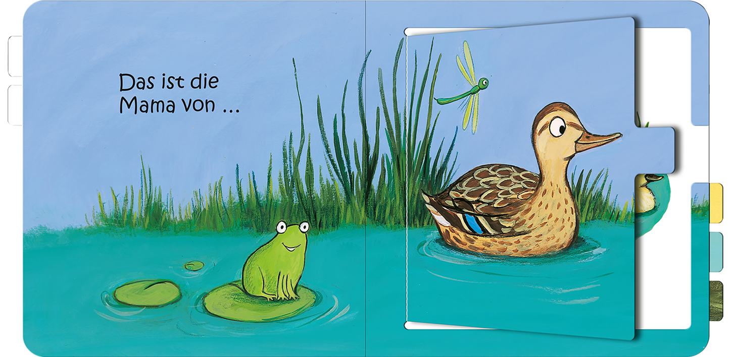 Gezeigt wird eine Innen- oder Zusatzansicht von „Das ist die Mama von ...“. Auf der Seite ist eine bunte, fröhliche Illustration zu sehen. Im Vordergrund sitzt ein grüner Frosch auf einem Wasserblatt, während im Hintergrund eine braune Ente im blauen Wasser schwimmt. Umgeben wird das Bild von grünen Wasserpflanzen und einer fliegenden Libelle. Der Titel ist in einer klaren, kindgerechten Schriftart geschrieben, die gut lesbar ist. Die Farben sind lebhaft und einladend.