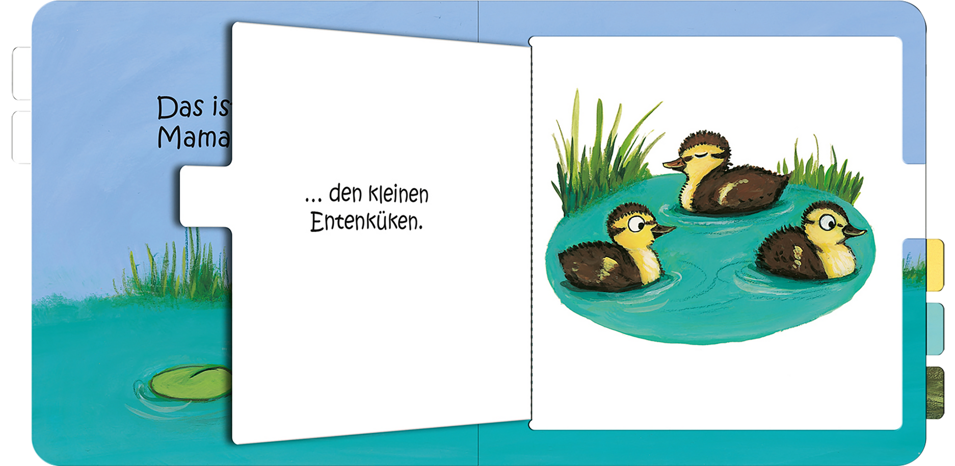 Gezeigt wird eine Innenansicht von „Das ist die Mama von …“. Die Illustration zeigt drei kleine Entenküken, die in einem blauen Teich schwimmen. Die Küken sind in sanften Brauntönen gehalten und haben gelbe Köpfe. Um sie herum sind grüne Wasserpflanzen und ein hellblauer Himmel sichtbar. Links steht in klarer, schwarzer Typografie der Satz „... den kleinen Entenküken“. Der Aufbau ist kindgerecht und farbenfroh gestaltet.