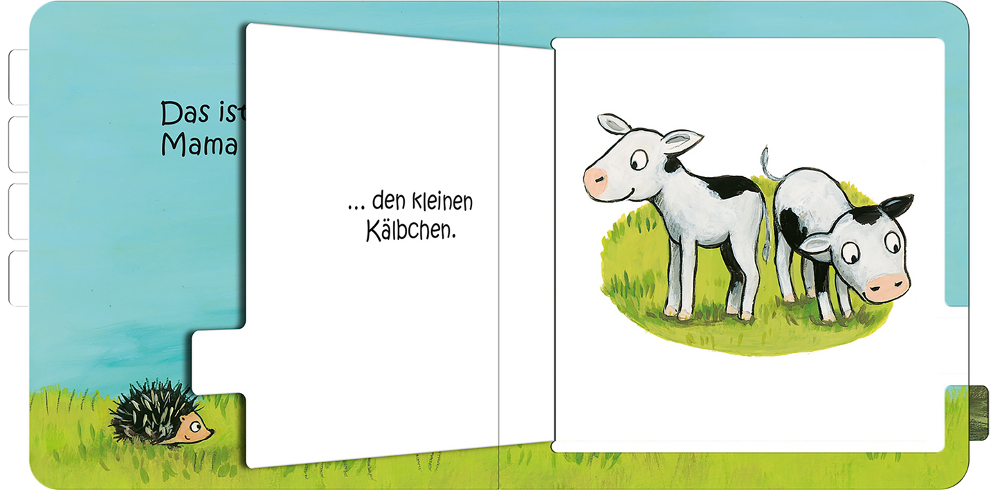 Gezeigt wird eine Innen- oder Zusatzansicht von „Das ist die Mama von …“. Auf der linken Seite steht der Satz „… den kleinen Kälbchen“ in klarer, gut lesbarer Schrift. Die rechte Seite zeigt zwei niedliche Kälbchen, eines mit schwarzen Flecken und eines ganz in Weiß, die auf grünem Gras stehen. Im Hintergrund ist ein himmelblauer Himmel zu sehen. Ein kleiner Igel ist am linken Rand abgebildet, der dem Geschehen zuschaut.