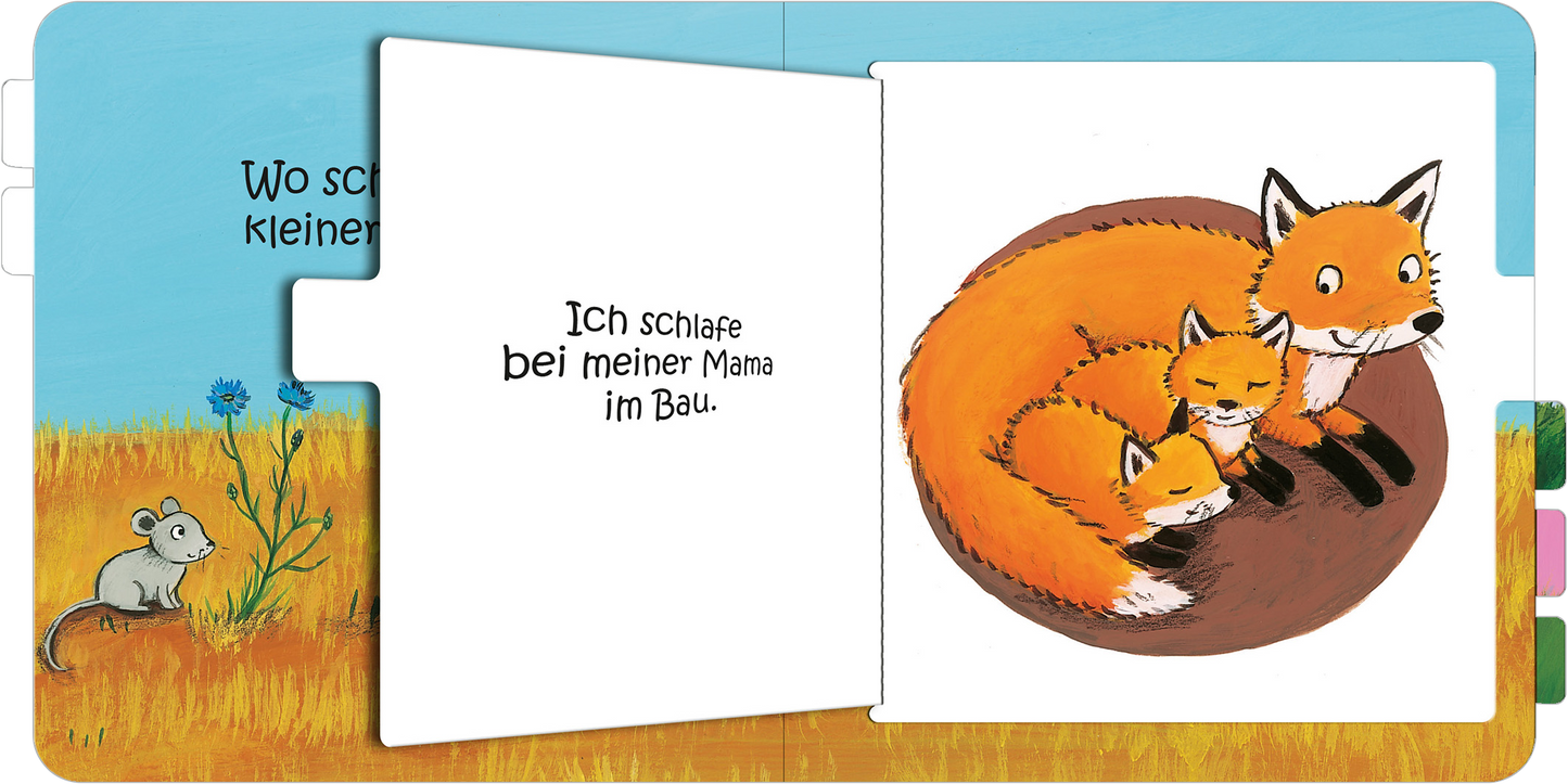 Gezeigt wird eine Innen- oder Zusatzansicht von „Wo schläfst du, kleine Eule?“. Die Illustration zeigt drei Füchse, zwei kleine und ein großer, die gemütlich beieinander liegen. Die Füchse sind in einem warmen Orange gehalten, während der Hintergrund eine sanfte, grüne Wiese mit einem blauen Himmel darstellt. Links steht der Text „Ich schlafe bei meiner Mama im Bau.“ in einfacher, klarer Serifen-Schrift, die gut lesbar ist.