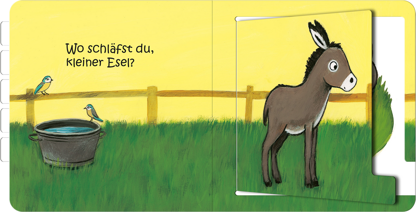 Gezeigt wird eine Innen- oder Zusatzansicht von „Wo schläfst du, kleiner Esel?“. Die Seite zeigt einen kleinen Esel, der auf einer grünen Wiese steht, umgeben von einem Zaun. Links befindet sich ein Eimer mit Wasser. Die Farben sind lebhaft und warm, mit Gelb- und Grüntönen, die eine einladende Atmosphäre schaffen. Die Typografie ist freundlich und kindgerecht, wobei der Titel in verspieltem Schriftstil hervorgehoben ist.
