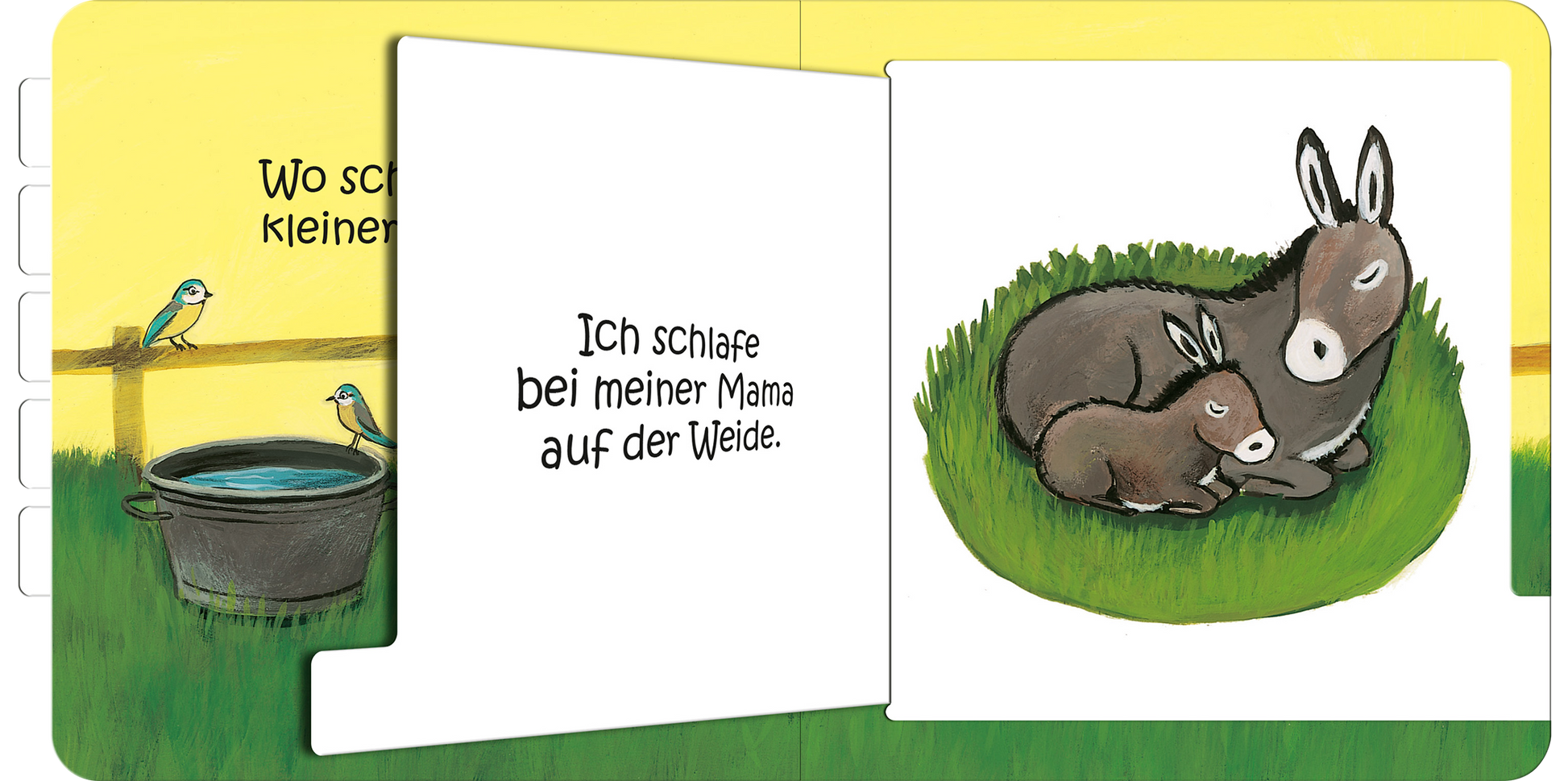 Gezeigt wird eine Innen- oder Zusatzansicht von „Wo schläfst du, kleine Eule?“. Auf der linken Seite ist ein Wasserbehälter abgebildet, daneben sitzen zwei kleine Vögel auf einem Zaun. Rechts sehen wir eine Illustration von einer Mutter- und ihrem Fohlen-Esel, die friedlich auf einer grünen Wiese liegen. Der Hintergrund ist in sanften Gelb- und Grüntönen gehalten, während die Schrift in einer verspielten, handschriftlichen Typografie gestaltet ist.