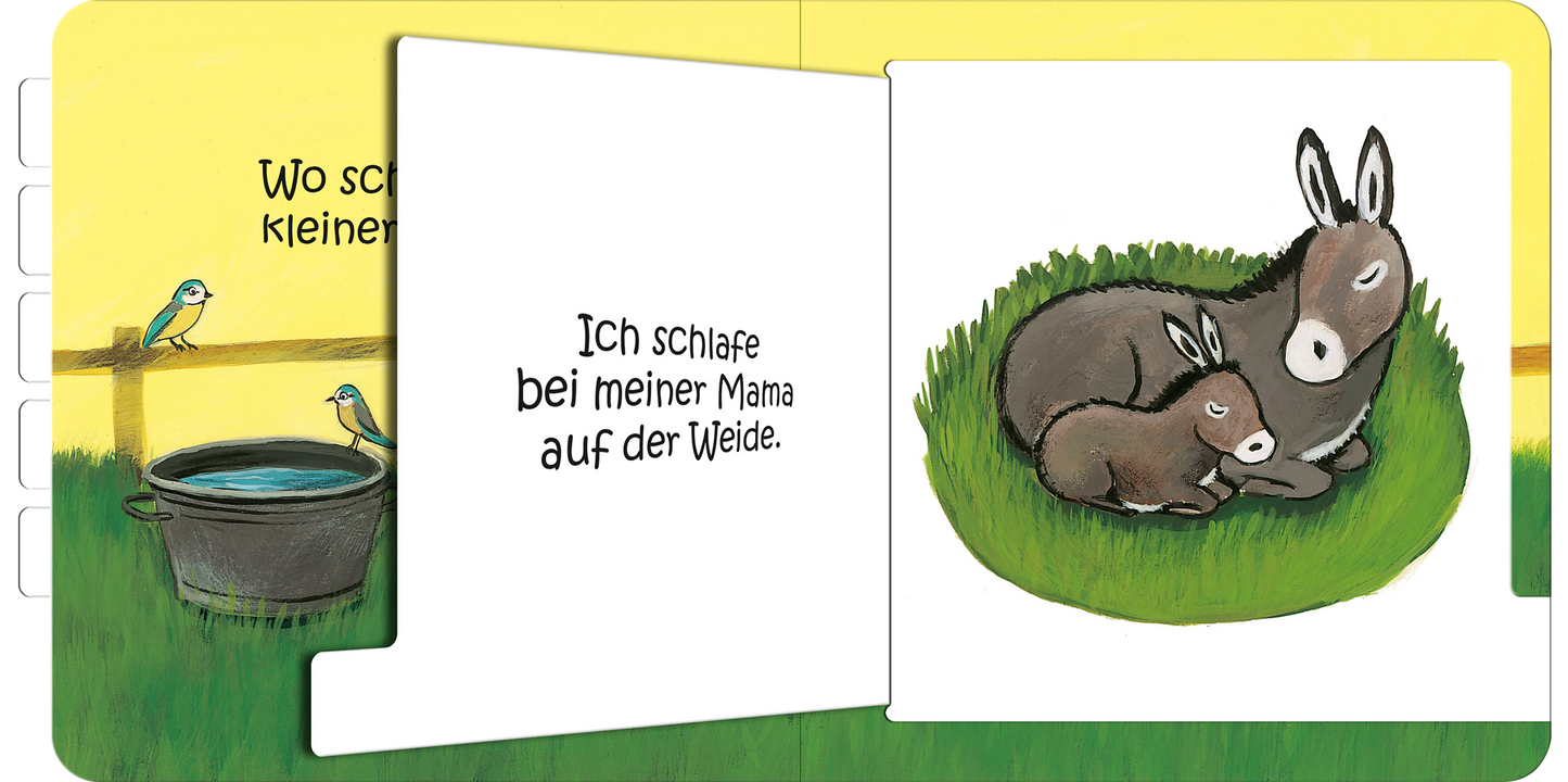 Gezeigt wird eine Innen- oder Zusatzansicht von „Wo schläfst du, kleine Eule?“. Auf der linken Seite ist ein Wasserbehälter abgebildet, daneben sitzen zwei kleine Vögel auf einem Zaun. Rechts sehen wir eine Illustration von einer Mutter- und ihrem Fohlen-Esel, die friedlich auf einer grünen Wiese liegen. Der Hintergrund ist in sanften Gelb- und Grüntönen gehalten, während die Schrift in einer verspielten, handschriftlichen Typografie gestaltet ist.
