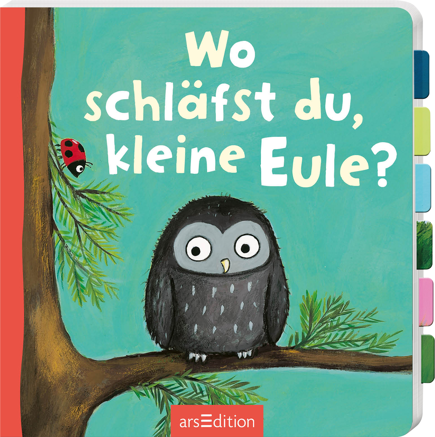 Das Buchcover zeigt eine niedliche, graue Eule mit großen, leuchtenden Augen, die an einem Ast sitzt. Neben der Eule ist ein roter Marienkäfer auf einem grünen Blatt sichtbar. Der Hintergrund ist in sanften Blau- und Grüntönen gehalten. Der Titel „Wo schläfst du, kleine Eule?“ ist in großer, freundlicher, weißer Schrift über dem Motiv platziert. Das Design vermittelt eine liebevolle und einladende Atmosphäre für Kinder. Ganz unten mittig steht der Logoschriftzug von arsEdition.