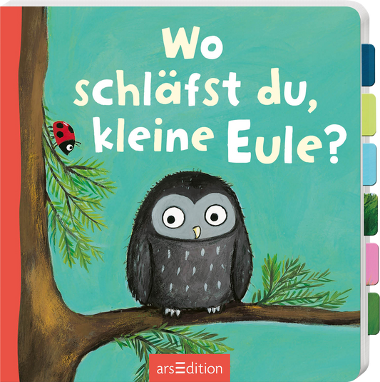 Das Buchcover zeigt eine niedliche, graue Eule mit großen, leuchtenden Augen, die an einem Ast sitzt. Neben der Eule ist ein roter Marienkäfer auf einem grünen Blatt sichtbar. Der Hintergrund ist in sanften Blau- und Grüntönen gehalten. Der Titel „Wo schläfst du, kleine Eule?“ ist in großer, freundlicher, weißer Schrift über dem Motiv platziert. Das Design vermittelt eine liebevolle und einladende Atmosphäre für Kinder. Ganz unten mittig steht der Logoschriftzug von arsEdition.