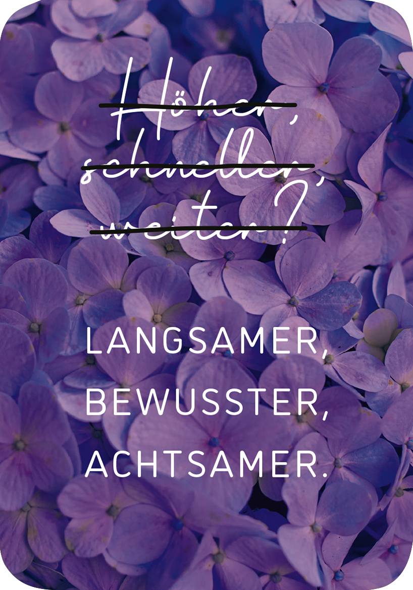 Gezeigt wird eine Innen- oder Zusatzansicht von „Mini-Coach. Willkommen, Achtsamkeit!“. Die Darstellung zeigt eine harmonische Kombination aus lila Blüten, die den Hintergrund prägen. In elegantem, handschriftlichem Stil ist die Frage „Höher, schneller, weiter?“ zu sehen, die durch einen durchgezogenen Strich betont wird. Darunter folgen in klarer, serifenloser Typografie die Worte „Langsamer, bewusster, achtsamer.“ in Weiß, die den zentralen Gedanken des Werkes unterstreichen.