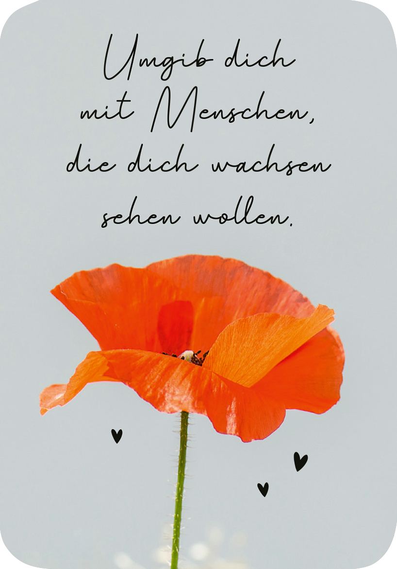 Gezeigt wird eine Innen- oder Zusatzansicht von „Mini-Coach. Hello, neuer Mut!“. Im Mittelpunkt steht ein kräftig rotblühender Mohn mit grünen Blättern. Der Hintergrund ist in sanften Grau- und pastellfarbenen Tönen gehalten. Über dem Blumenmotiv steht die handschriftlich wirkende Botschaft „Umgib dich mit Menschen, die dich wachsen sehen wollen.“ Die Schrift ist elegant und verspielt, ergänzt durch kleine schwarze Herzchen, die dem Design eine freundliche Note verleihen.