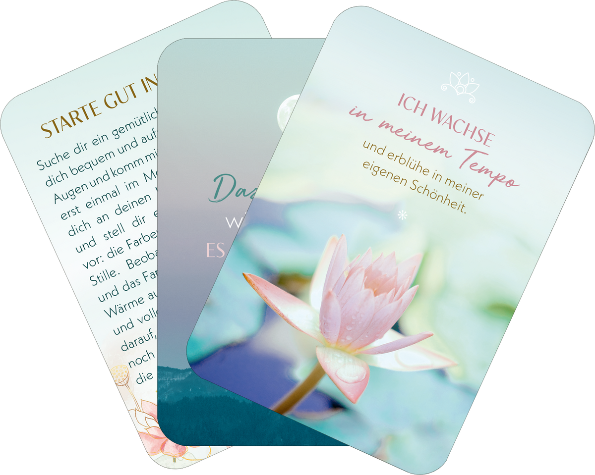 Gezeigt wird eine Innen- oder Zusatzansicht von „Meditations-Mantras“. Die Ansicht zeigt drei Karten, die sanfte, pastellfarbene Töne in Grün, Blau und Rosa enthalten. Auf der vorderen Karte steht in einer geschwungenen Schrift „ICH WACHSEN in meinem Tempo“ in rosa, umrahmt von einer zarten Lotusblüte. Die hinteren Karten präsentieren beruhigende Texturen und inspirierende Botschaften. Die Typografie ist klar und gut lesbar, und die Motive strahlen Ruhe und Harmonie aus.