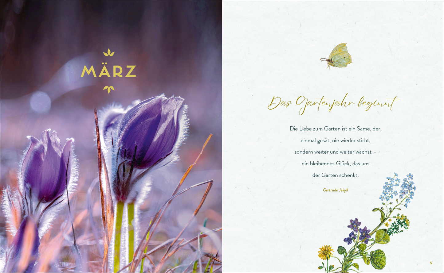 Gezeigt wird eine Innen- oder Zusatzansicht von „Mein Garten, meine Seele“. Die linke Seite präsentiert violette Krokusse, die sanft im Sonnenlicht leuchten, umgeben von zarten, unscharfen Hintergründen in warmen Erdtönen. Auf der rechten Seite steht der Titel „Das Gartenjahr beginnt“ in goldener Schrift über einer leicht strukturierten, hellen Hintergrundfläche. Darunter folgt ein Zitat von Gertrude Jekyll in eleganter, geschwungener Schrift, umrahmt von floralen Illustrationen in...