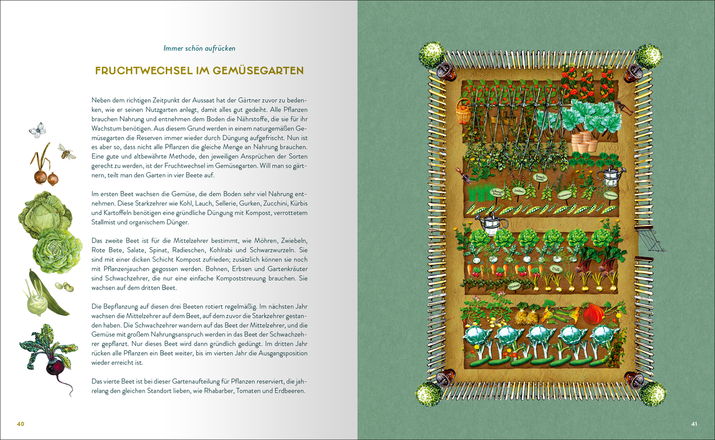 Gezeigt wird eine Innen- oder Zusatzansicht von „Mein Garten, meine Seele“. Auf der linken Seite befindet sich ein heller Textblock mit Informationen zum Fruchtwechsel im Gemüsegarten, in einer klaren, gut lesbaren Schrift. Auf der rechten Seite ist eine farbenfrohe, detaillierte Illustration eines Gemüsegartens zu sehen. Diverse Gemüsesorten sind in verschiedenen Reihen angeordnet, umrahmt von einem grünen Hintergrund und einem geflochtenen Zaun. Die lebendigen Farben der Pflanzen...